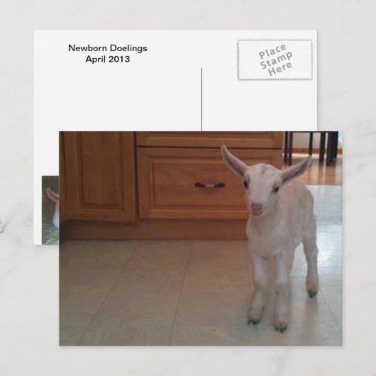 Newborn Doelings Briefkaart (Voorkant / Achterkant)