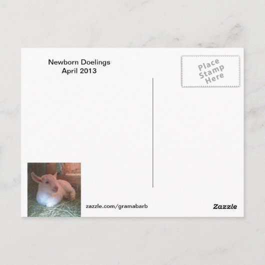 Newborn Doelings Briefkaart (Achterkant)