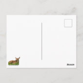 Newborn Fawn Briefkaart (Achterkant)