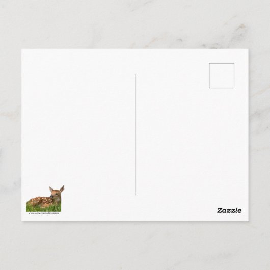 Newborn Fawn Briefkaart (Achterkant)