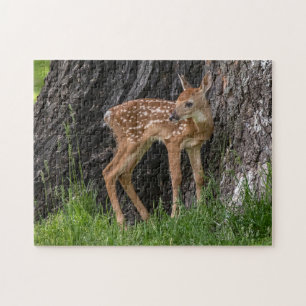 Newborn Fawn Legpuzzel
