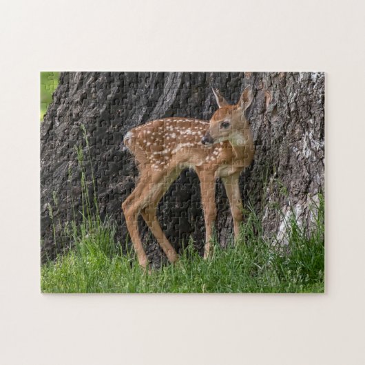 Newborn Fawn Legpuzzel (Horizontaal)