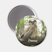 Newborn Great Horned Owl magnet (Voorkant / Achterkant)