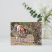 Newborn Innocence Briefkaart (Staand voorkant)