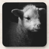 Newborn Lamb Bier Onderzetter (Voorkant)