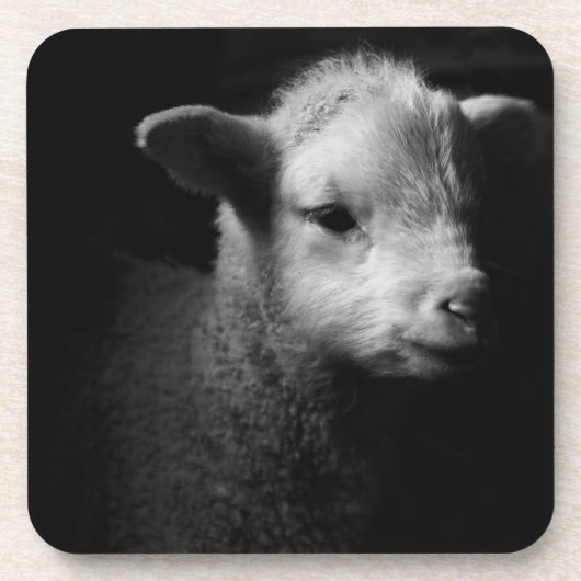 Newborn Lamb Bier Onderzetter (Voorkant)