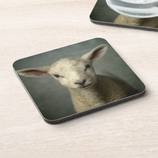 Newborn Lamb Bier Onderzetter (Linkerzijde)