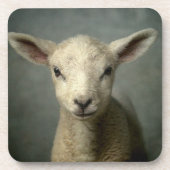 Newborn Lamb Bier Onderzetter (Voorkant)