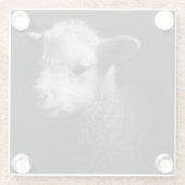 Newborn Lamb Glazen Onderzetter (Achterkant)