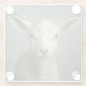 Newborn Lamb Glazen Onderzetter (Achterkant)