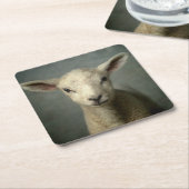 Newborn Lamb Kartonnen Onderzetters (Schuin)