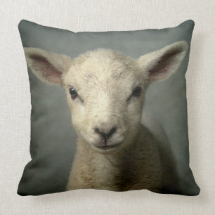 Newborn Lamb Kussen