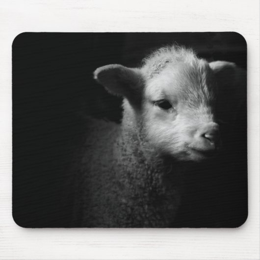 Newborn Lamb Muismat (Voorkant)
