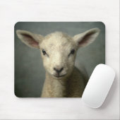 Newborn Lamb Muismat (Met muis)