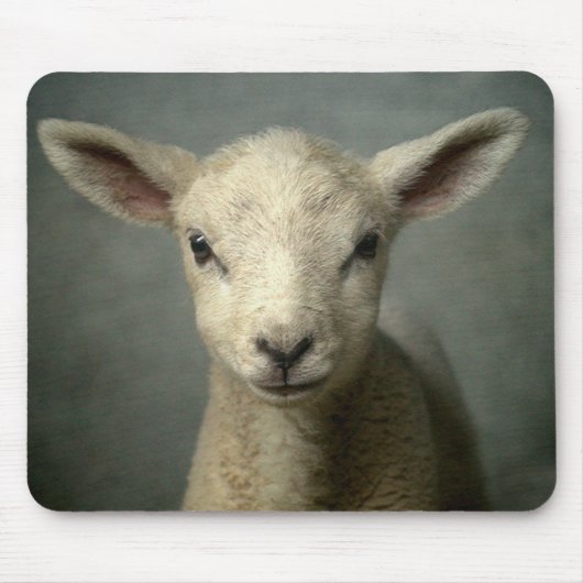 Newborn Lamb Muismat (Voorkant)