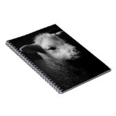 Newborn Lamb Notitieboek (Rechterzijde)