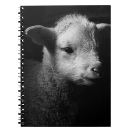 Newborn Lamb Notitieboek (Voorkant)