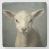 Newborn Lamb Stenen Onderzetter (Voorkant)