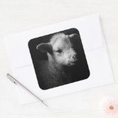 Newborn Lamb Vierkante Sticker (Envelop)