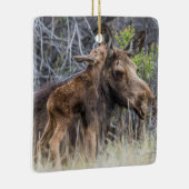 Newborn Moose Calf Nuzzling zijn moeder Keramisch Ornament (Rechts)