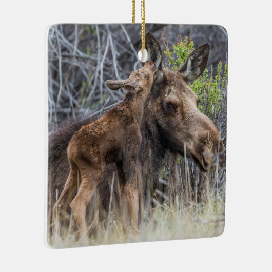 Newborn Moose Calf Nuzzling zijn moeder Keramisch Ornament (Rechts)