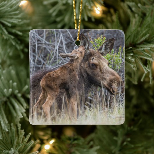 Newborn Moose Calf Nuzzling zijn moeder Keramisch Ornament (Boom)