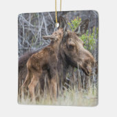 Newborn Moose Calf Nuzzling zijn moeder Keramisch Ornament (Links)