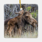 Newborn Moose Calf Nuzzling zijn moeder Keramisch Ornament (Voorkant)