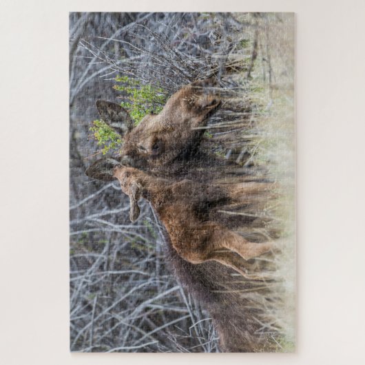 Newborn Moose Calf Nuzzling zijn moeder Legpuzzel (Verticaal)