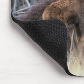 Newborn Moose Calf Nuzzling zijn moeder Muismat (Hoek)