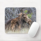 Newborn Moose Calf Nuzzling zijn moeder Muismat (Met muis)