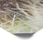 Newborn Moose Calf Nuzzling zijn moeder Poster (Hoek)