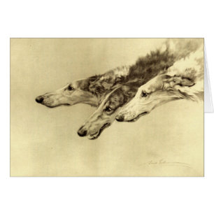 Newcastle Borzoi