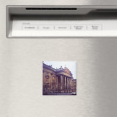 Newcastle Upon Tyne Magneet (Insitu (Vaatwasser))