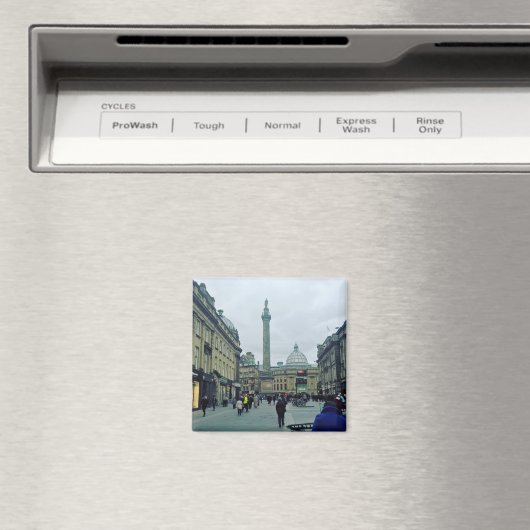 Newcastle Upon Tyne Magnet (Insitu (Vaatwasser))