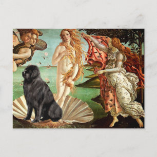 Newfie 1 - Geboorte van Venus Briefkaart