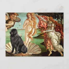 Newfie 1 - Geboorte van Venus Briefkaart