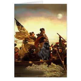 Newfie 1 - Washington Crossing.....