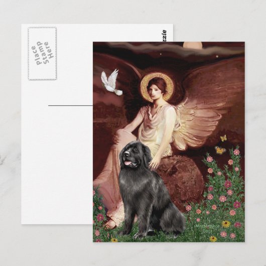 Newfie 2 - Zittende engel Briefkaart (Voorkant / Achterkant)