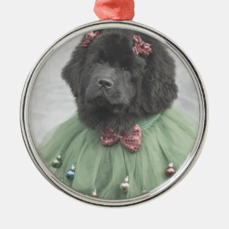 Newfie-baby onder de boom metalen ornament