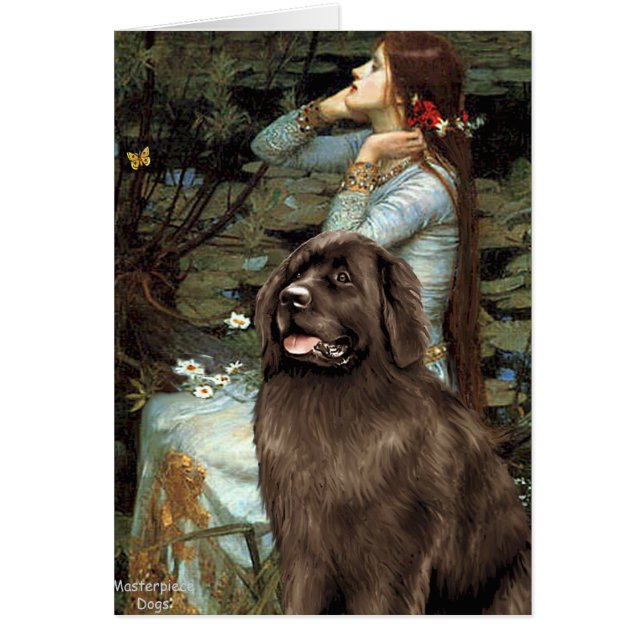 Newfie (bruin) - Ophelia Zittend (Voorkant)