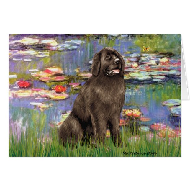 Newfie (bruin) - Waterlelies 2 (Voorkant Horizontaal)