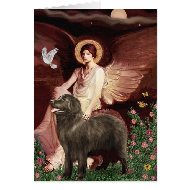 Newfie (bruin) - Zittende engel (Voorkant)