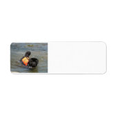 newfie in water.png etiket (Voorkant)