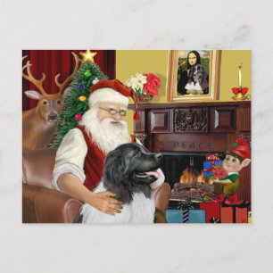 Newfie Landseer van de Kerstman Feestdagenkaart