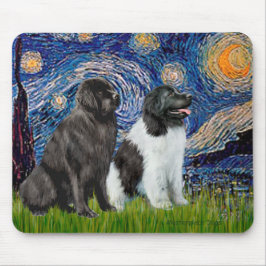 Newfie Paar (B1+L) - Sterrennacht Muismat