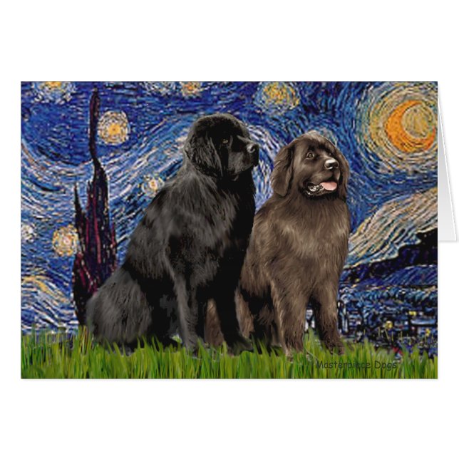 Newfie Pair - Sterrennacht (Voorkant Horizontaal)