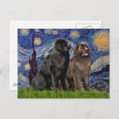 Newfie Pair - Sterrennacht Briefkaart (Voorkant / Achterkant)