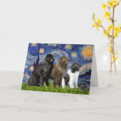 Newfie Trio - Sterrennacht Kaart (Gele Bloem)