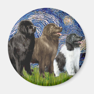Newfie Trio - Sterrennacht Magneet